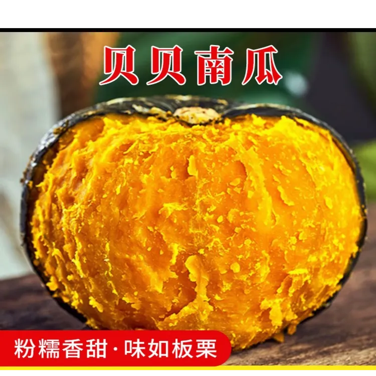 新鲜采摘沙地贝贝南瓜粉糯香甜板栗味（顺丰）