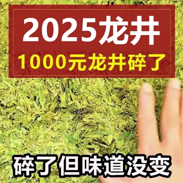 2025年龙井茶碎片杭州新茶粗茶片正宗明前浓豆香春茶高碎茶片回甘