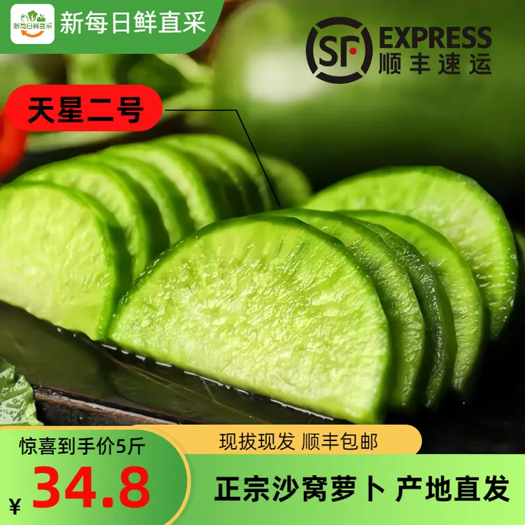 天星二号 正宗天津特产 天津沙窝萝卜 甜脆不辣顺丰包邮