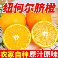 【牧疆山】纽荷尔脐橙8.5斤当季新鲜整箱手剥橙水果橙子