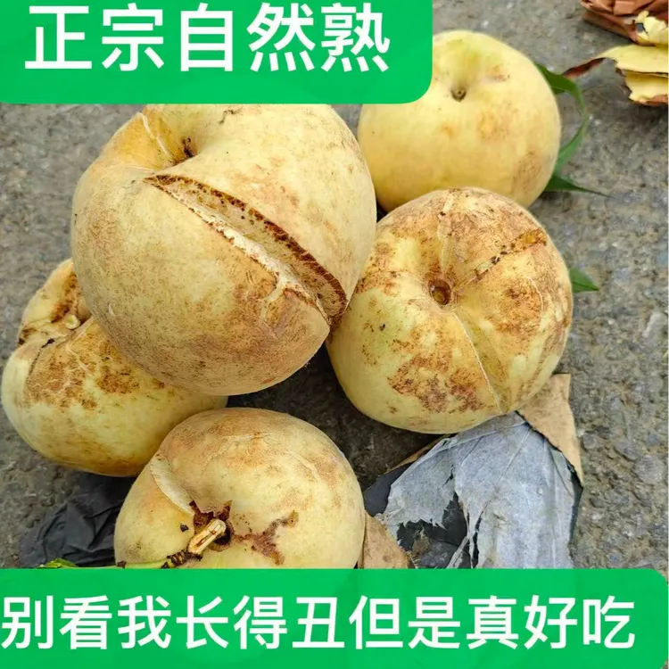 清香脆甜苏北产地直发正宗丑裂桃冬桃金秋映霜红新鲜水果现摘现发