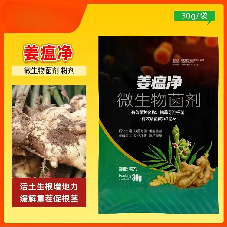 姜瘟净姜瘟专用姜瘟清生姜大姜干尖黄叶烂脖子茎基腐菌剂
