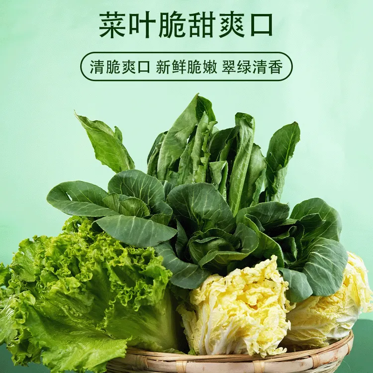 五福临门（云南高原蔬菜）新鲜采摘清脆爽口翠绿清香菜叶饱满厚实