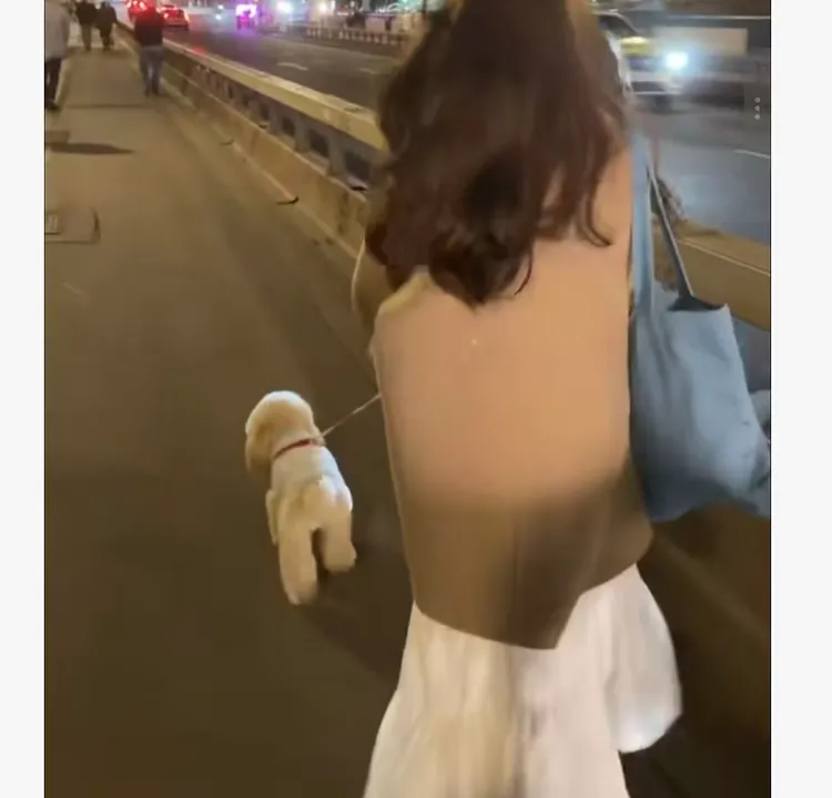 时尚潮流百搭精品女装dgd5430