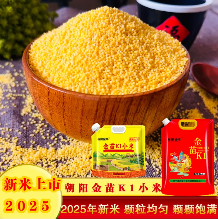 【朝阳小米】2025新米谷田金牛辽宁朝阳金苗K1小米可捞饭