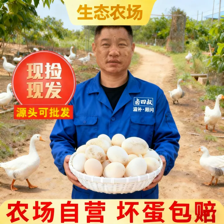 【四叔严选】农户自养现捡新鲜散养农家土鹅蛋12枚整箱大鹅蛋