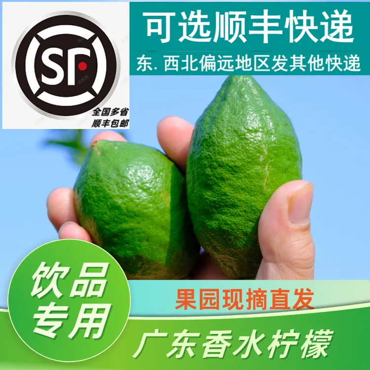 【可自选顺丰快递】广东香水柠檬无籽新鲜果园直发奶茶店用