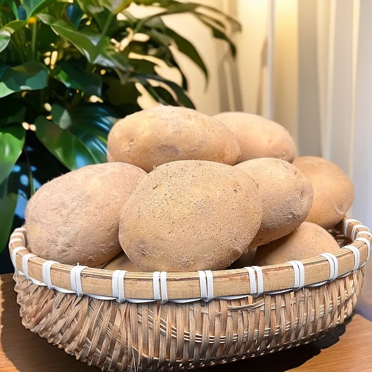 【林哥】2025贵州高山新鲜土豆洋芋黄皮黄心洋芋农家土豆洋芋马铃薯