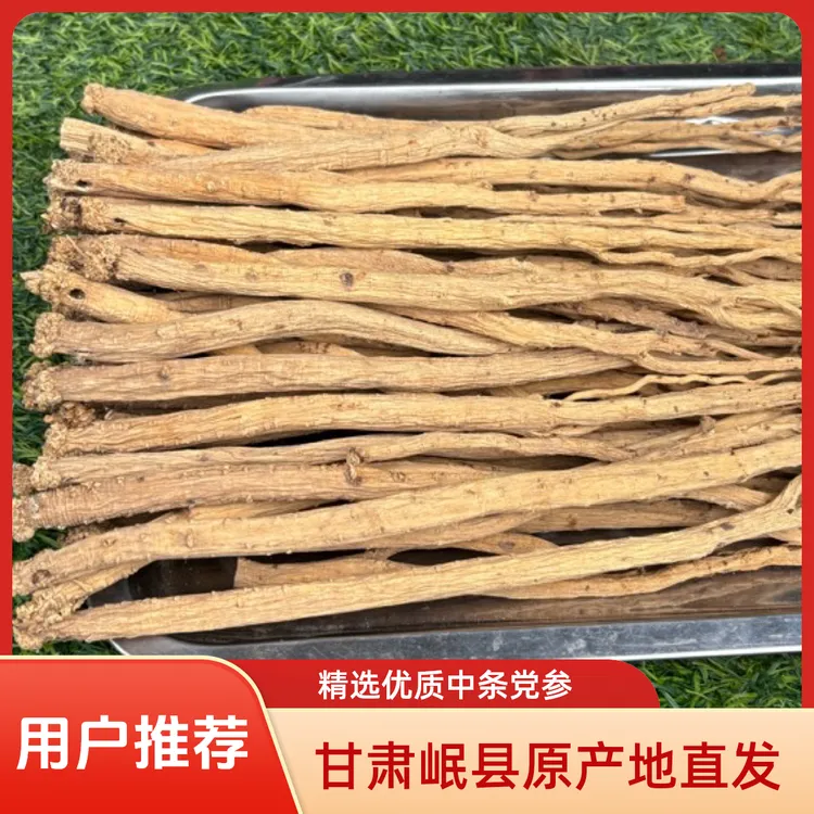 《党参》甘肃岷县原产地直发［种植党参》可泡酒煲汤煮水泡水黄芪