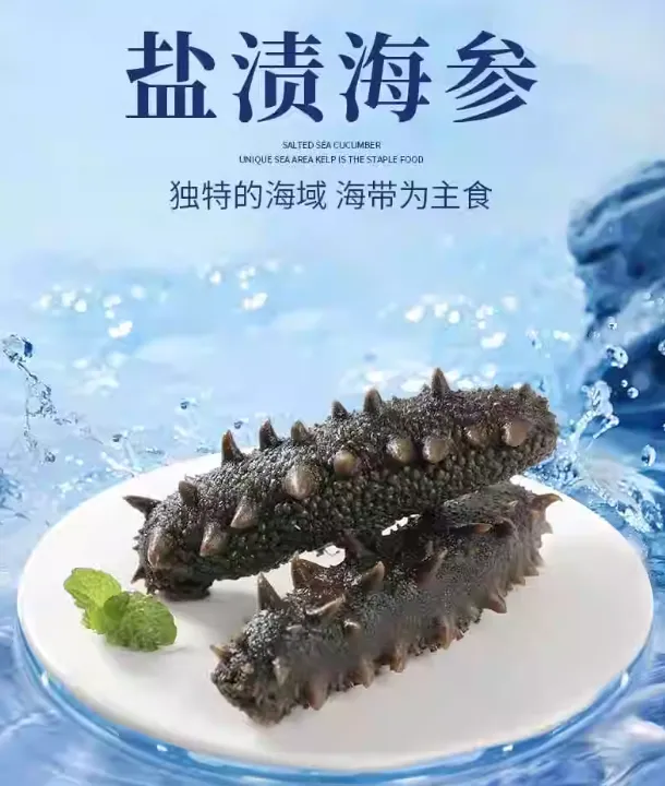 大连盐渍辽刺参底播（  半干参50头左右  ）拉缸盐   包邮
