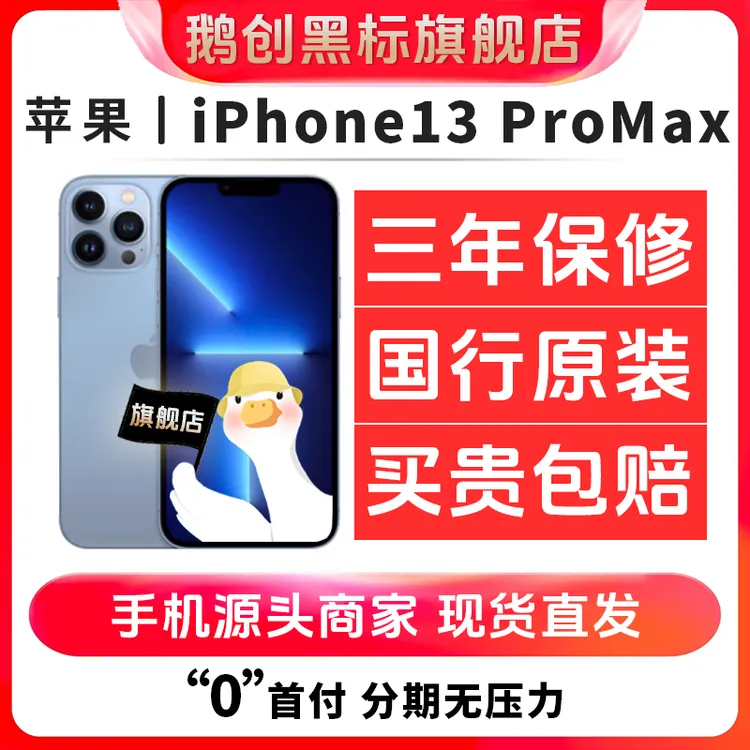 95新 Apple/苹果 靓机苹果13Promax零售机国行二手手机6.7寸256G
