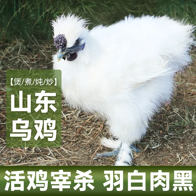 【姜涛专属】白凤乌鸡乌鸡礼盒过节送礼必备