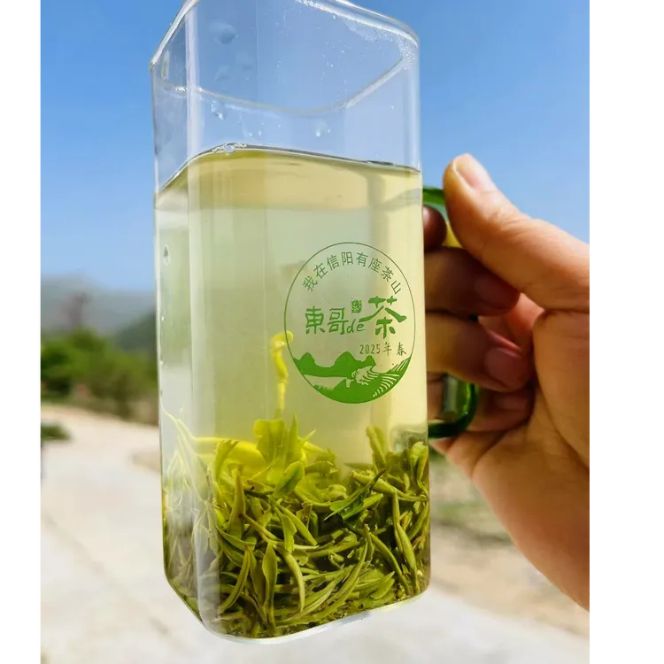 【东哥de茶山】2025信阳毛尖/老旱茶雨前嫩芽