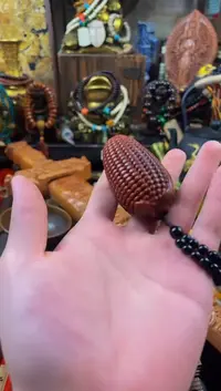 木小熊拖鞋直播精选推荐