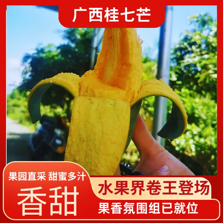 广西百色正宗桂七芒果香甜多汁新鲜采摘发货