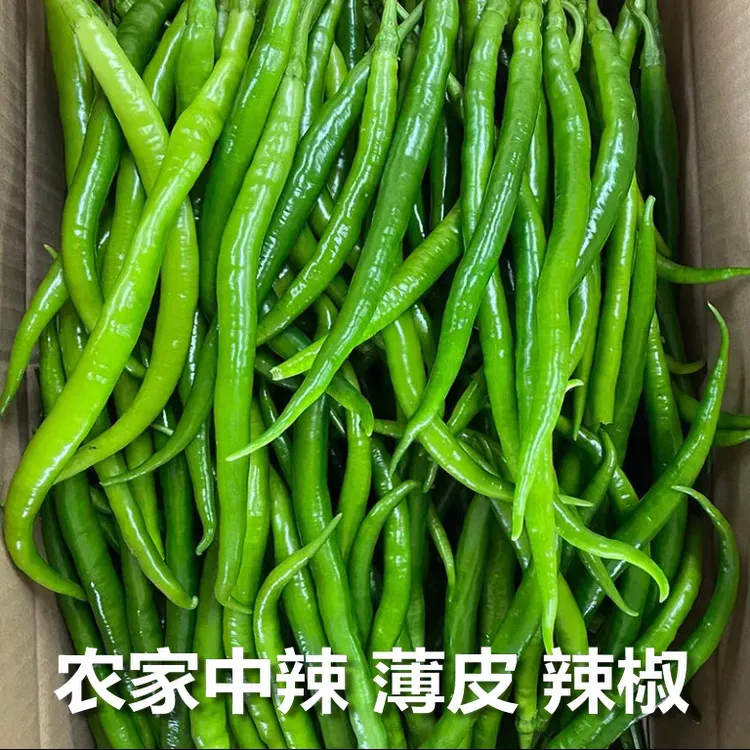 农家新鲜二荆条辣椒自种批发蔬菜青线椒尖椒青椒现摘线椒辣椒香辣