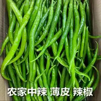农家新鲜二荆条辣椒自种批发蔬菜青线椒尖椒青椒现摘线椒辣椒香辣