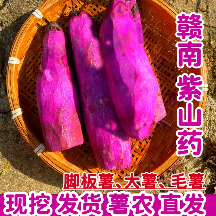赣南紫山药新鲜3/5斤脚板薯紫参薯江西赣州紫淮山毛薯农产品蔬菜