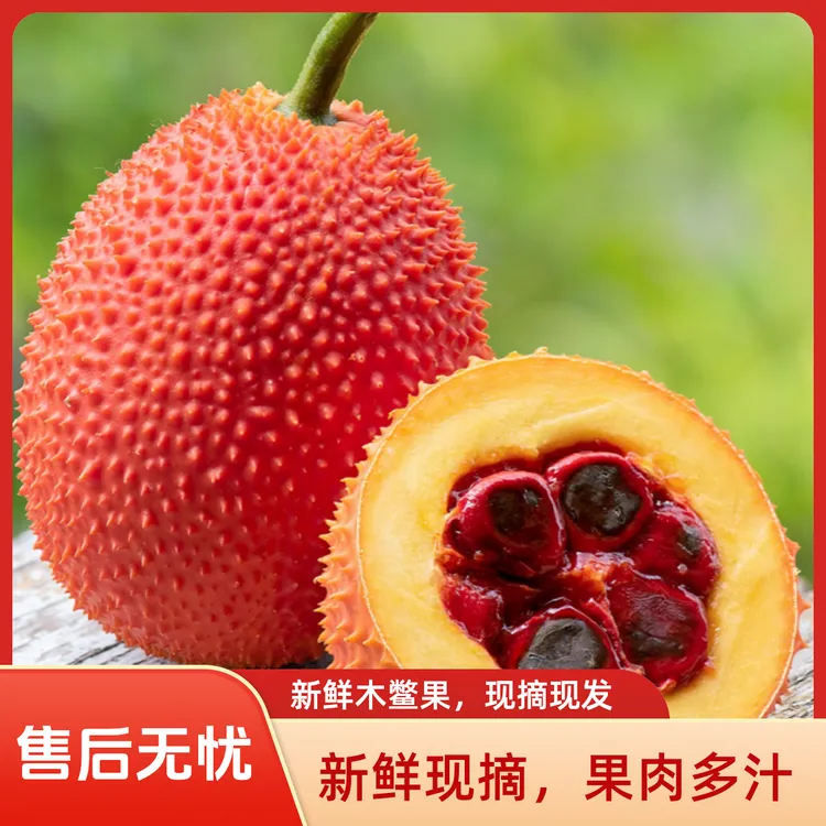 食用木鳖果广西新鲜木鳖瓜现摘甜葫芦果漏苓子番茄红素野生圣果