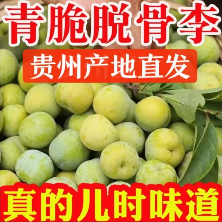 【正宗贵州青脆李四月李】青脆脱骨李新鲜应季水果坏果包赔贵州直发