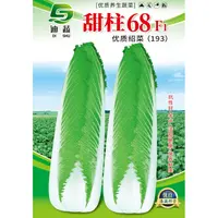 卷筒青白菜种子193*甜柱68F甜脆大白菜种籽
