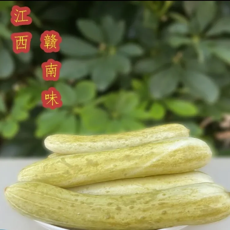 赣南客家特产小吃手工酸黄瓜下酒菜开胃爽口下饭泡菜