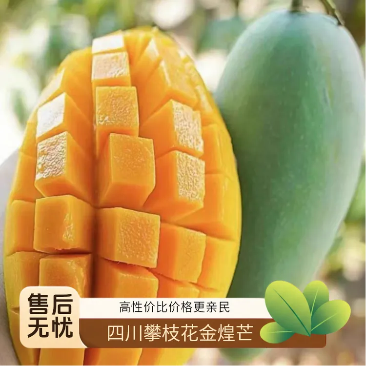 【顺丰快递】正宗四川攀枝花金煌芒大青芒新鲜现摘现发当季新鲜水果