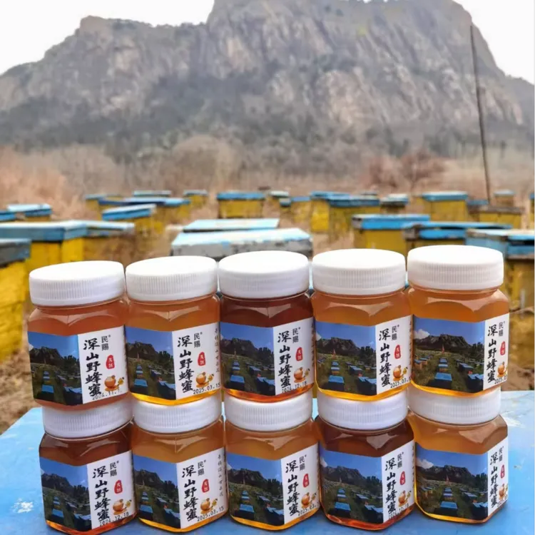 【古月】沂蒙山 野山花蜜 天然成熟蜜 228g  S