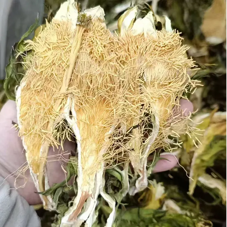 塔格依力斯雪莲花核心产区泡水煮水煲汤   花参