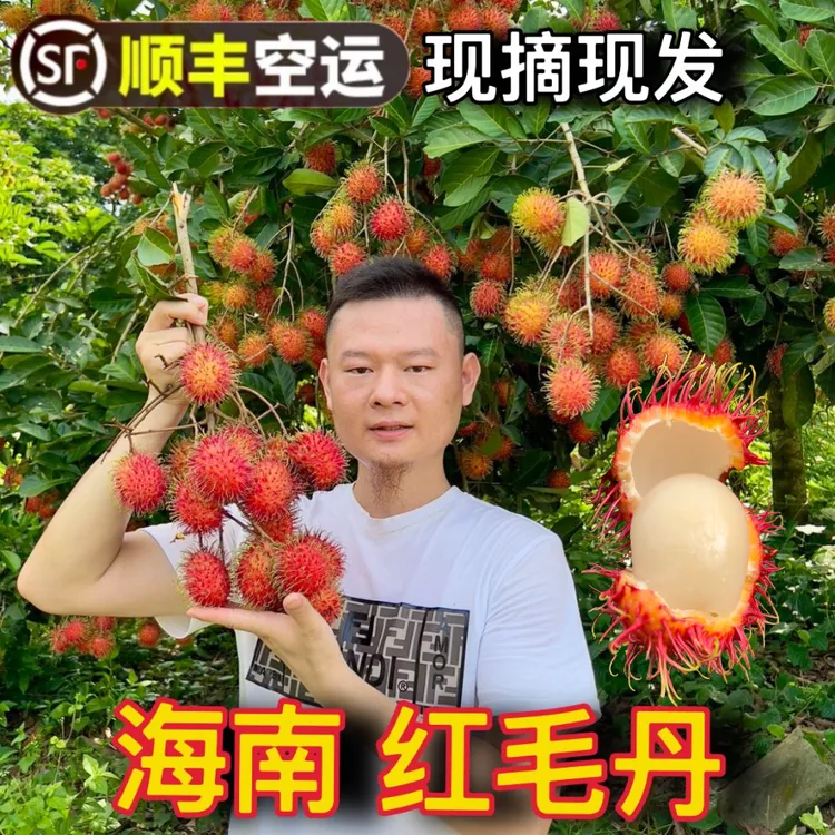 【顺丰空运】海南保亭红毛丹7号果礼盒装应季水果现摘现发孕妇水果