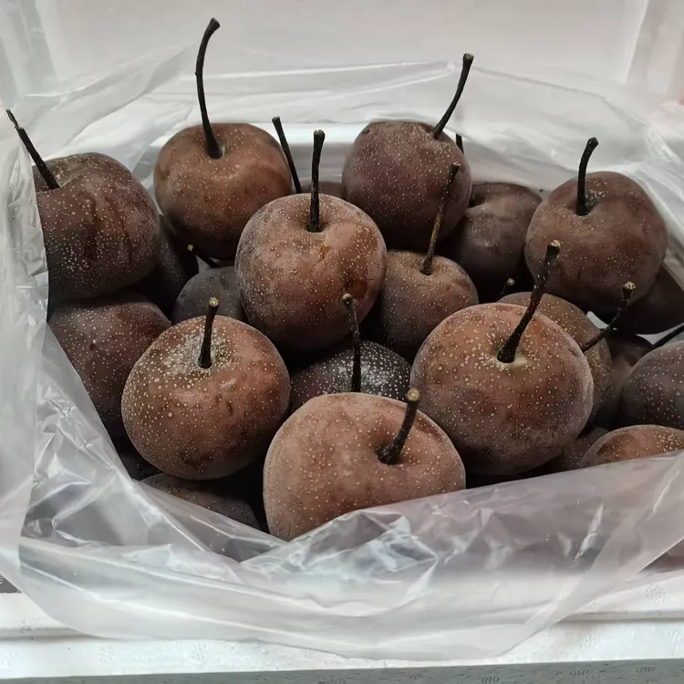  兰州软儿梨（散装中果十斤）甘肃包邮  (兰州特产 西北冻梨 顺丰)