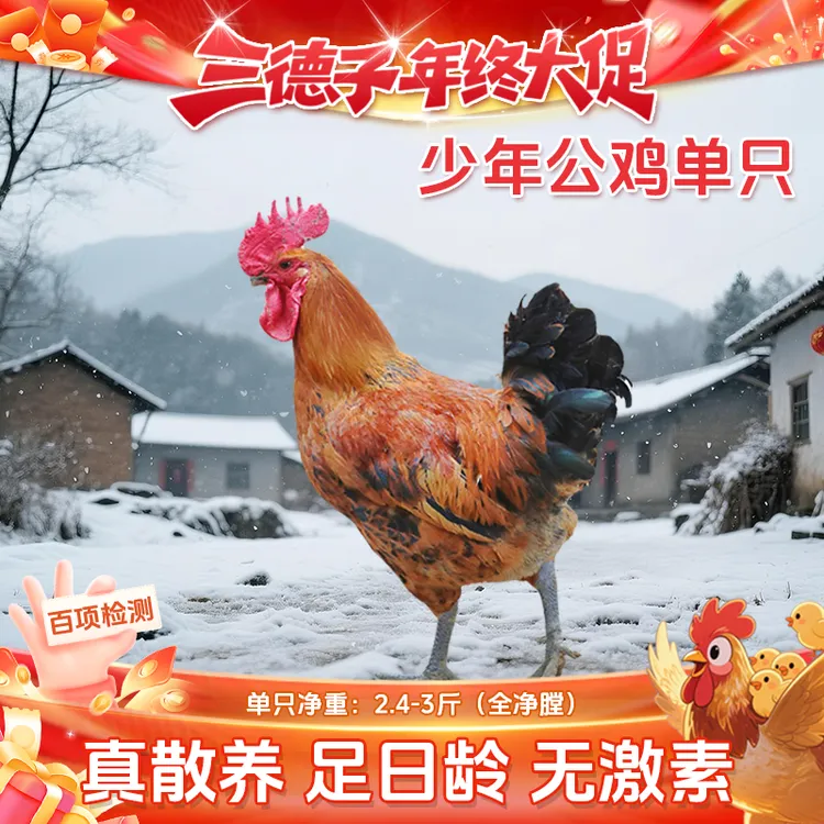 三德子 【少年公鸡1只】生态散养土鸡120天公鸡走地鸡 包冰率不含冰
