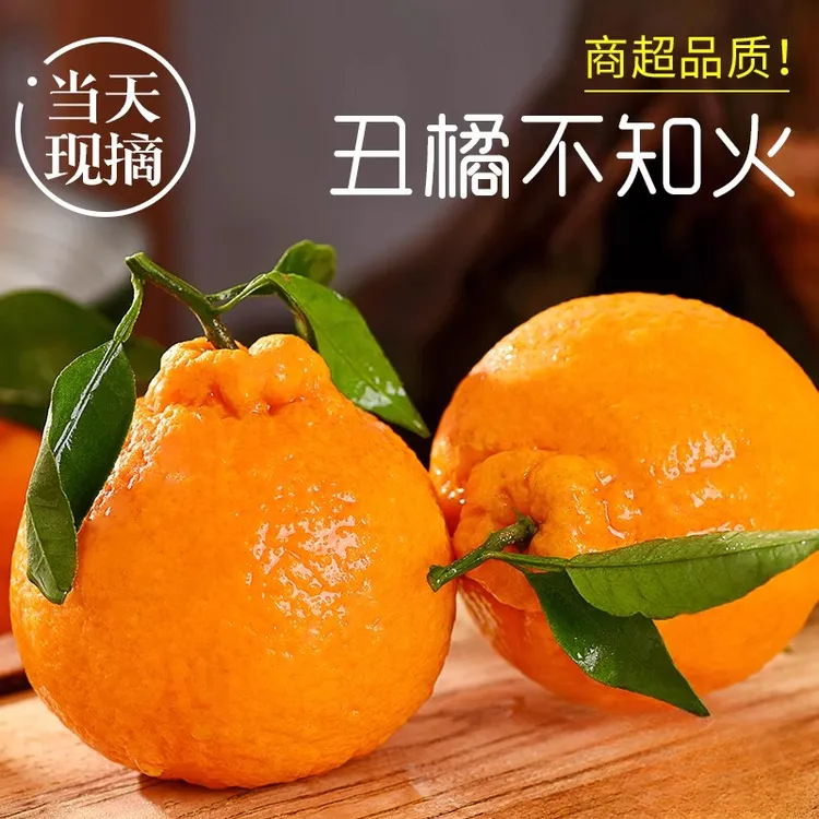 四川丑橘不知火丑八怪橘子新鲜孕妇水果多汁丑柑耙耙柑蜜橘顺丰