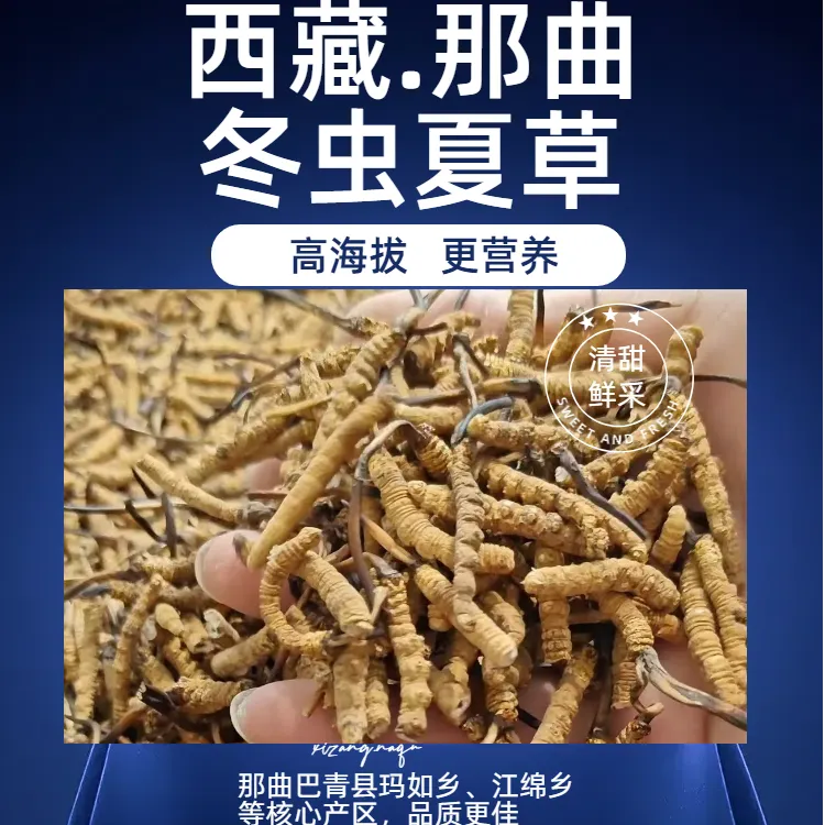 西藏那曲 冬虫夏草 2025新干草 1g起 顺丰包邮