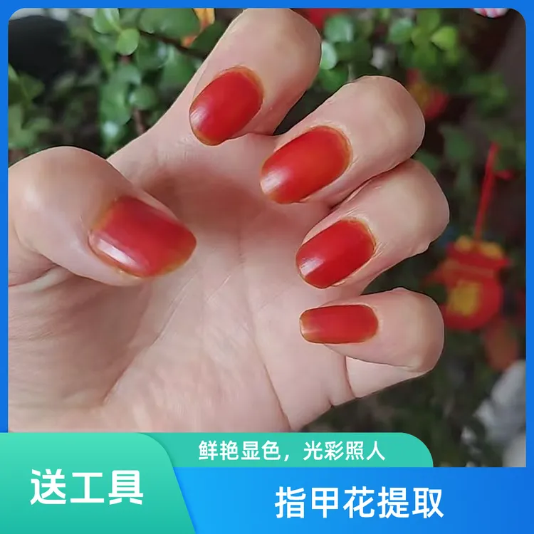 福利品【送工具】美甲指甲花粉染指甲指甲花粉凤仙花小桃红显白酒红