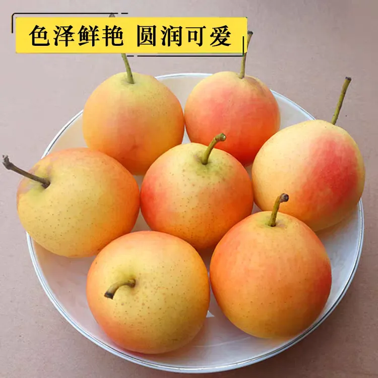 鞍山特产南果梨阳面红果新鲜多汁软糯香甜东北特产水果整箱包邮