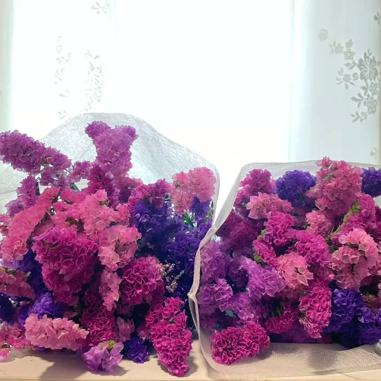 【买1束送1束】云南昆明直发勿忘我干花花束鲜花真插花礼物装饰花