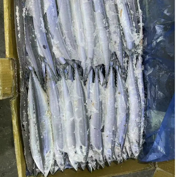【麦创优选】海钓鱼饵秋刀鱼船钓刀鱼带鱼天亚鱼饵4号秋刀鱼