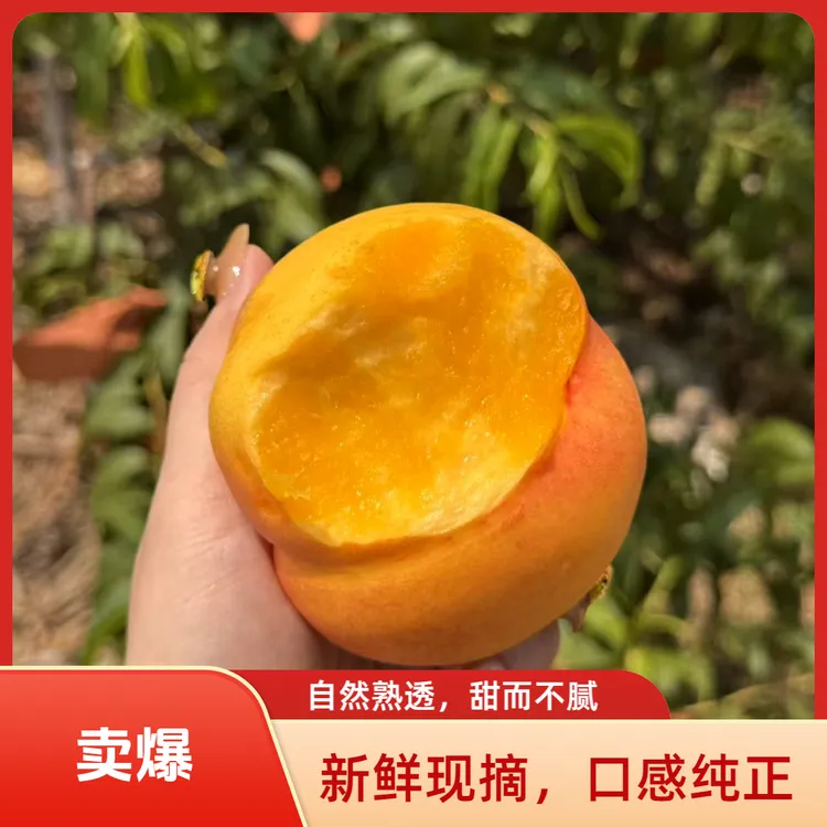 【顺丰包邮】黄金芒果圆油桃【头茬】软糯香甜超好吃桃子