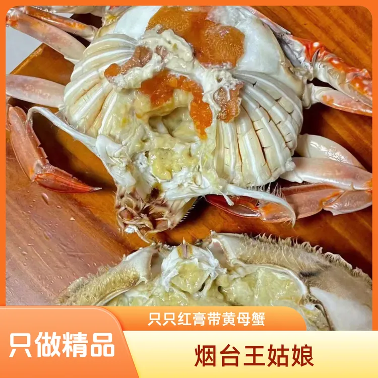 烟台莱州带黄母梭子蟹单只4两/5两及以上2.2斤起拍【保鲜不保活】