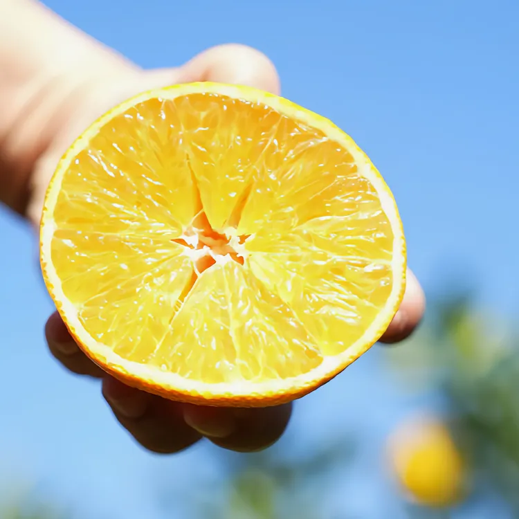 江西进贤红美人新鲜现摘应季水果爆甜多汁无籽无渣