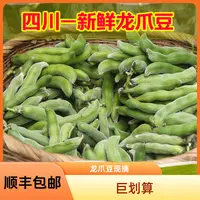 【顺丰包邮】四川龙爪豆带皮狗儿豆炒辣椒好吃1/2/3/5/8斤现摘