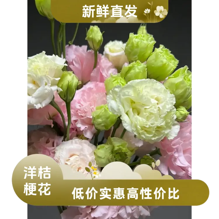 【洋桔梗】包邮云南昆明直发鲜花