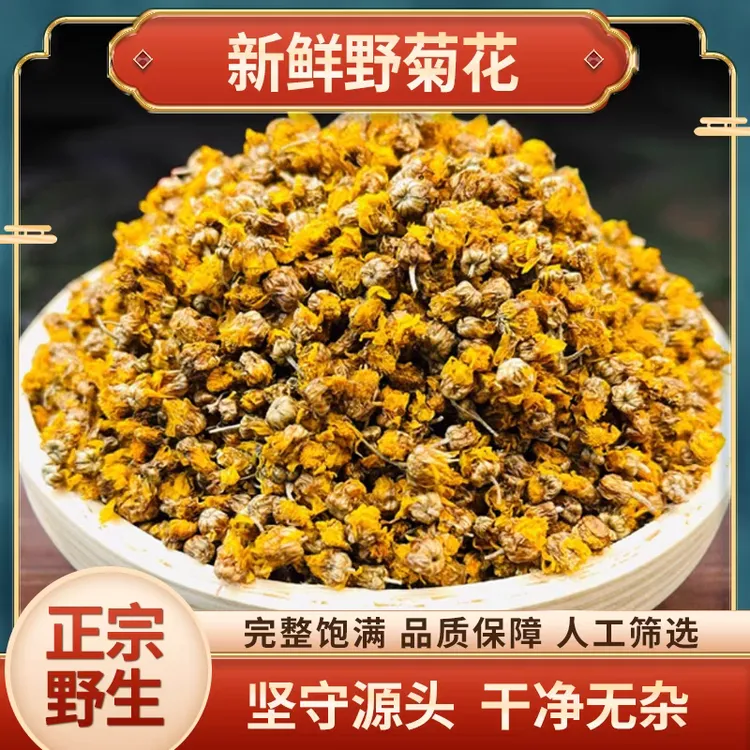 野菊花正品道地精选无硫新货野菊花滋补养生搭配枸杞泡水泡茶喝