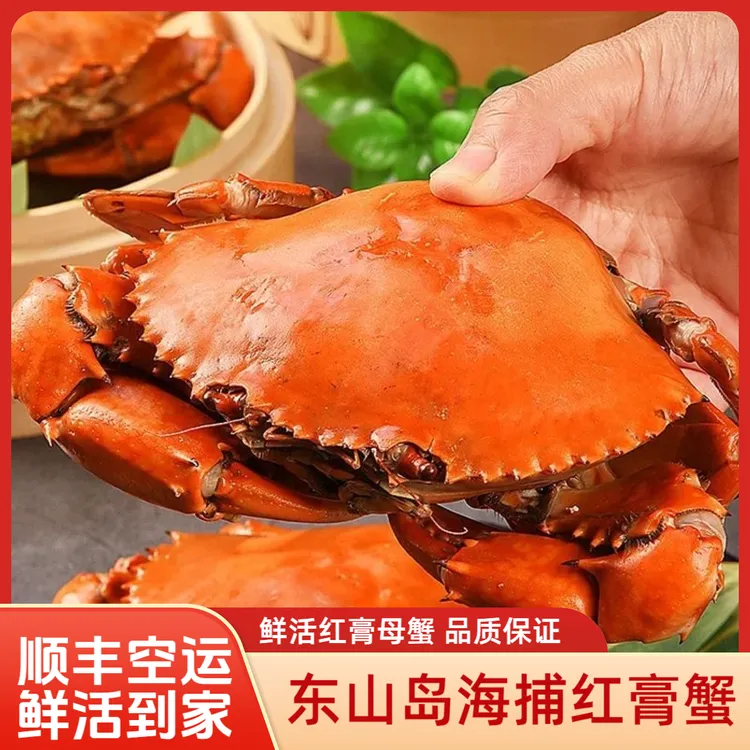 鲜活红膏蟹母蟹清蒸美味海鲜水产东山岛野生青蟹红鲟送礼