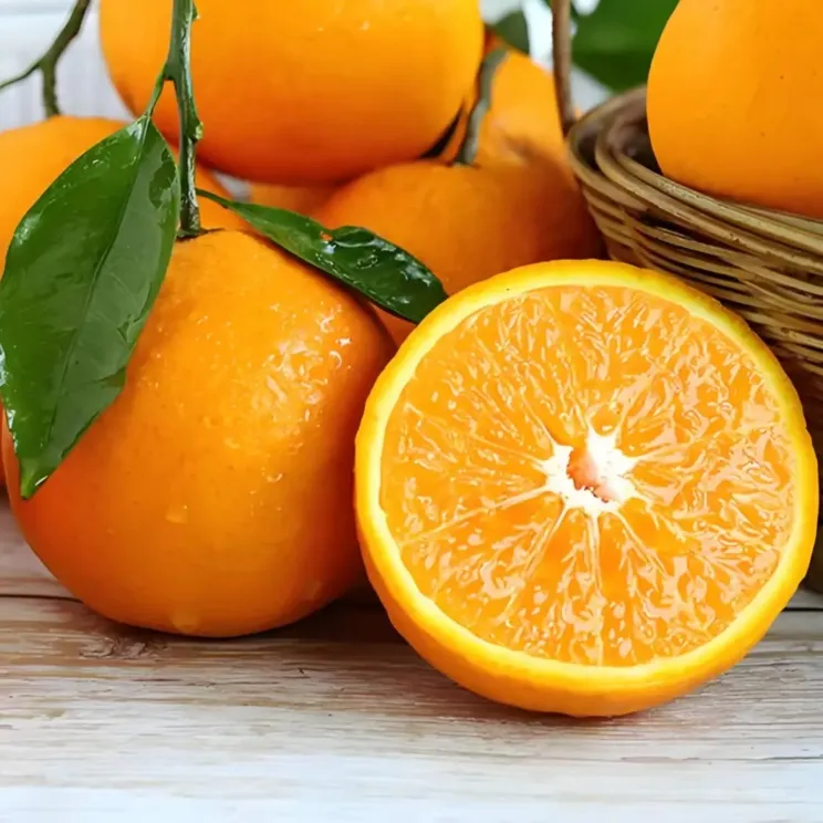 [新号福利  坏果包赔]四川青见果冻橙新鲜手剥晚熟柑橘H