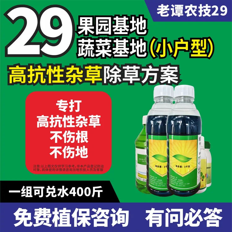 老谭农技29蔬菜果园基地高抗性杂草除草方案小户型牛筋草马唐狗尾