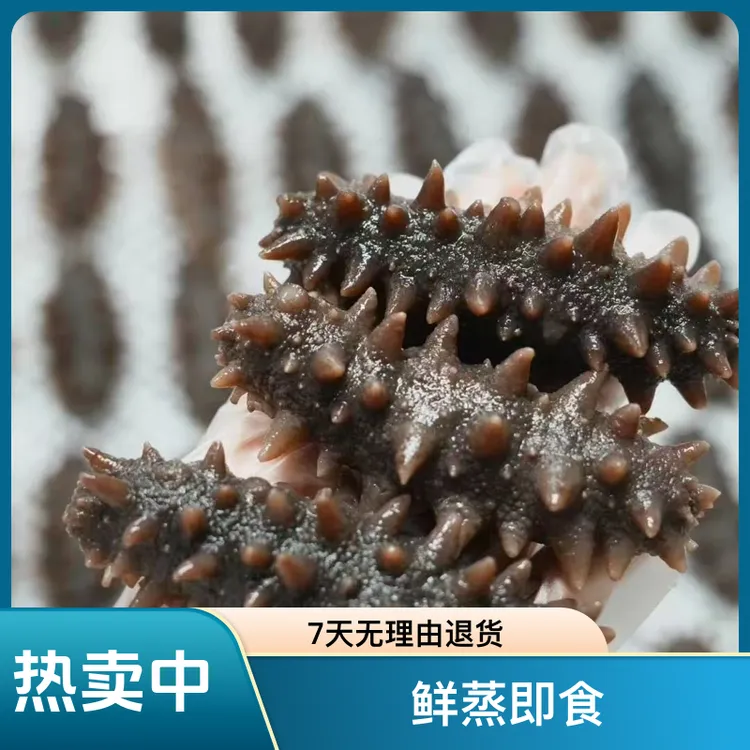 8-10头500g即食海参鲜蒸即食源头工厂个人发货25岁