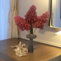 【冰淇淋】木绣球永生花中华宝塔绣球花单插居家永生花单插花束