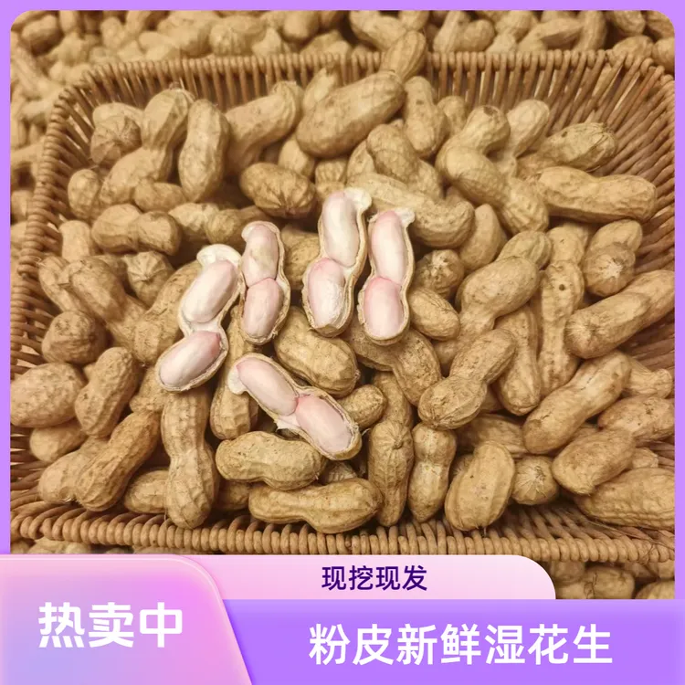 2025年新鲜带壳粉皮鲜花生1斤3斤5斤10斤